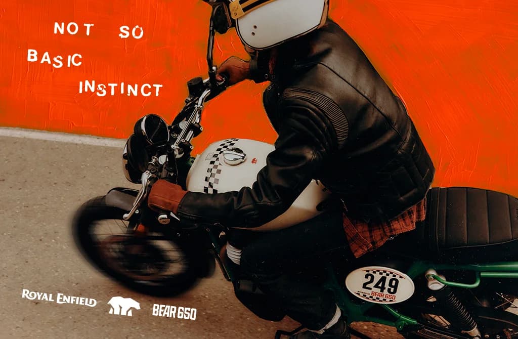 Bear 650