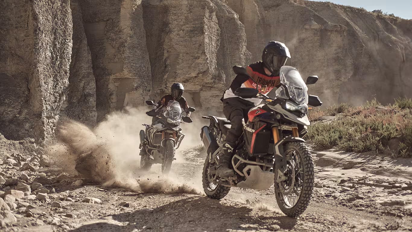 Tiger 900 Rally Pro