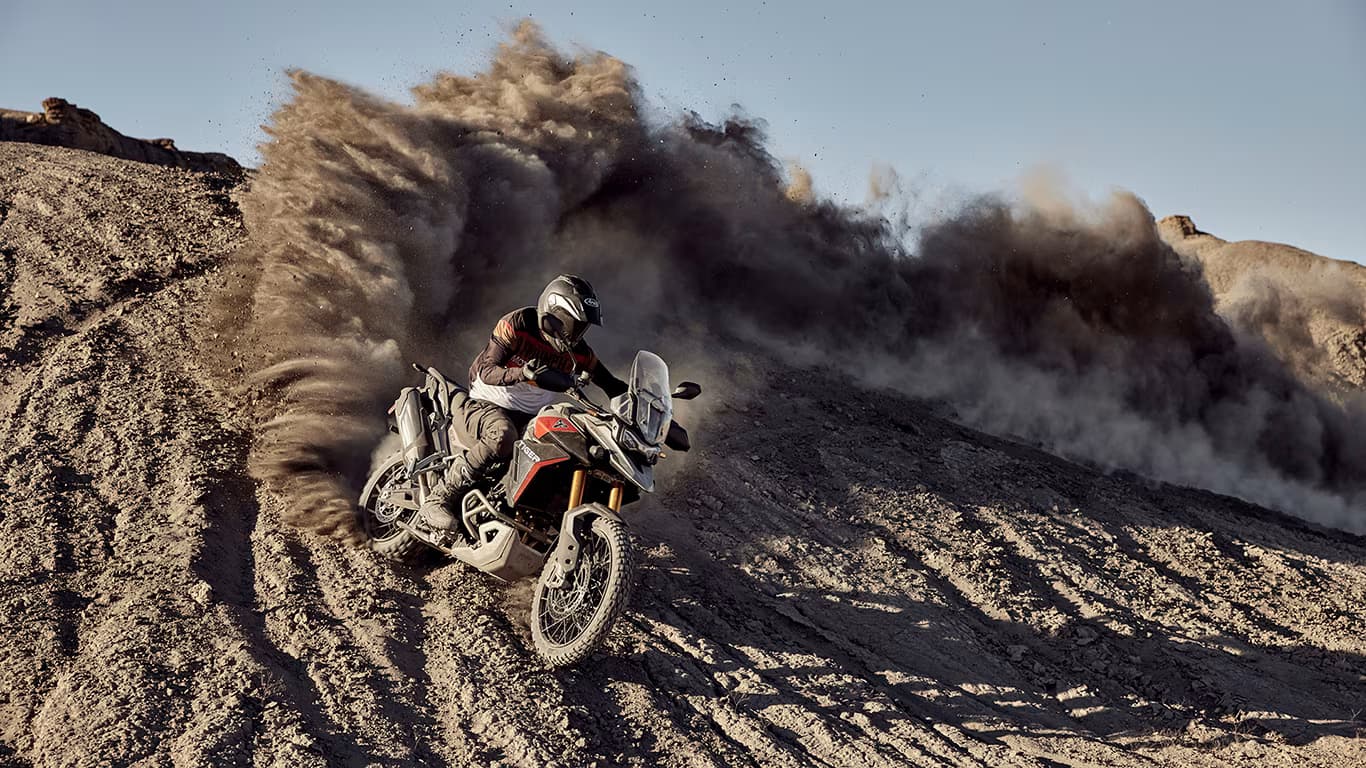 Tiger 900 Rally Pro