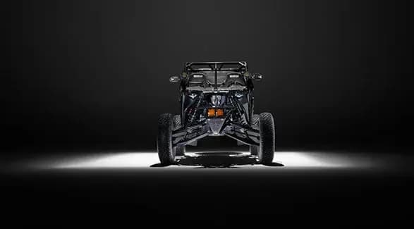 RZR Pro R